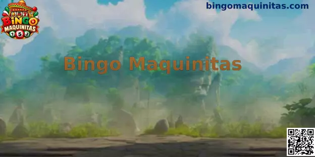 Guía informativa de Bingo Maquinitas en México