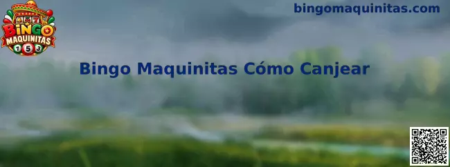 Bingo Maquinitas Cómo Canjear códigos y promociones en México