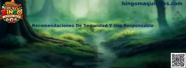 Guía de recomendaciones de seguridad y uso responsable para Bingo Maquinitas