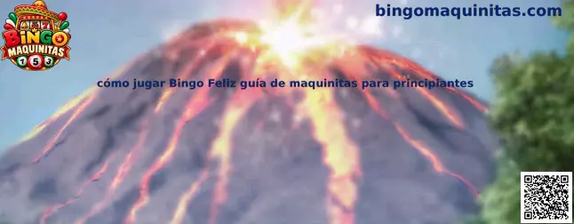 Imagen ilustrativa de la guía para aprender a jugar Bingo Feliz en Bingo Maquinitas