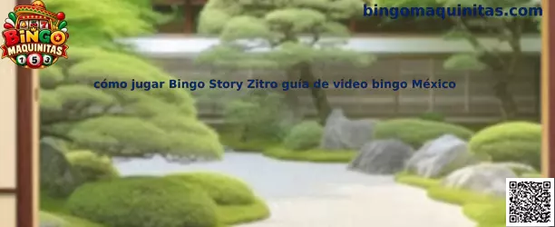 Guía ilustrativa para conocer los elementos de Bingo Story Zitro y aprender las reglas generales del video bingo