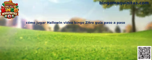 Imagen de referencia para la guía de Hallowin video bingo Zitro en Bingo Maquinitas