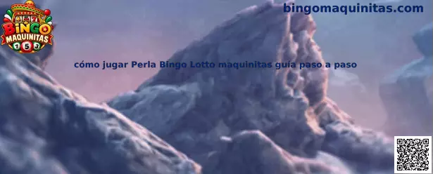 Imagen ilustrativa de la guía para conocer cómo jugar Perla Bingo Lotto en maquinitas