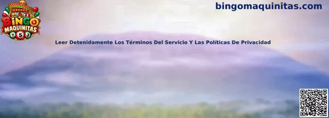 Guía de Bingo Maquinitas para leer detenidamente los términos del servicio y las políticas de privacidad