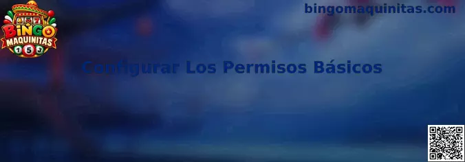 Guía visual para configurar los permisos básicos de una aplicación de Bingo Maquinitas