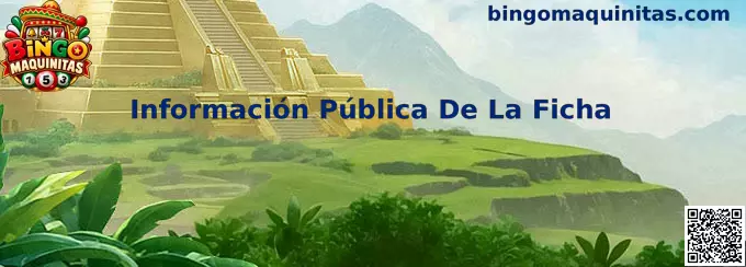 Información Pública De La Ficha de Bingo Maquinitas mostrada como guía de revisión