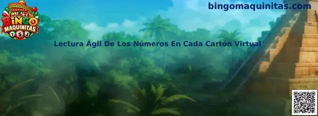 Lectura Ágil De Los Números En Cada Cartón Virtual