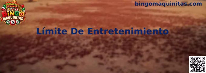 Límite De Entretenimiento en Bingo Maquinitas