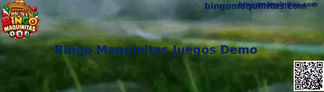 Vista representativa de Bingo Maquinitas Juegos Demo