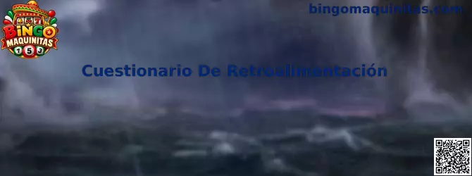 Cuestionario De Retroalimentación de Bingo Maquinitas