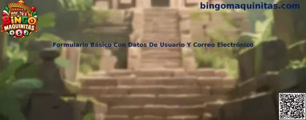 Formulario básico con datos de usuario y correo electrónico en Bingo Maquinitas